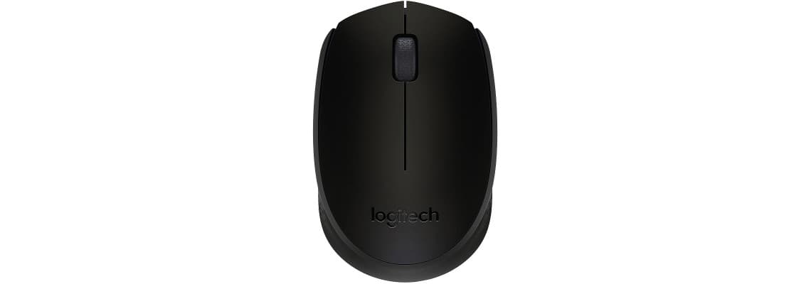 Logitech M171 Wireless Mouse (Noir) 5