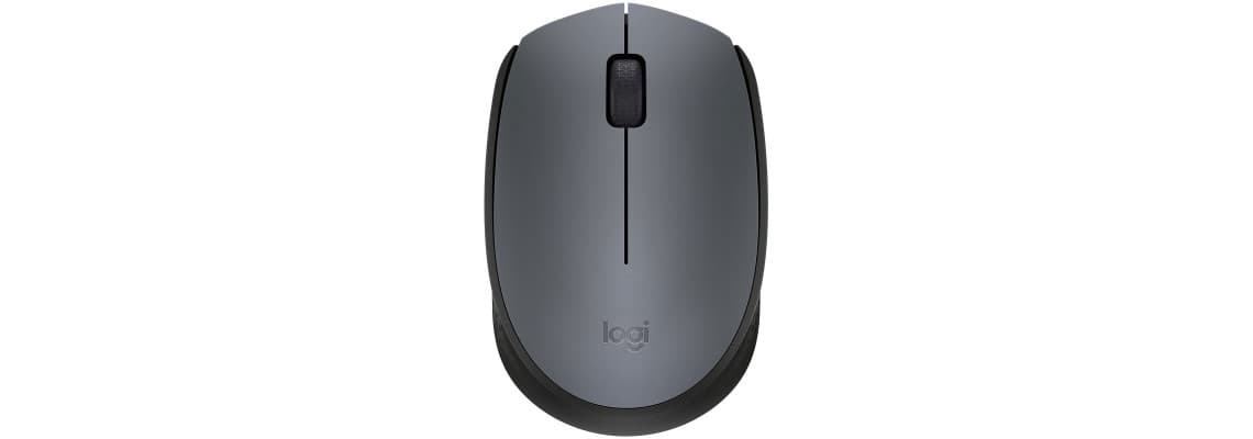 Logitech M170 Wireless Mouse (Gris) 3