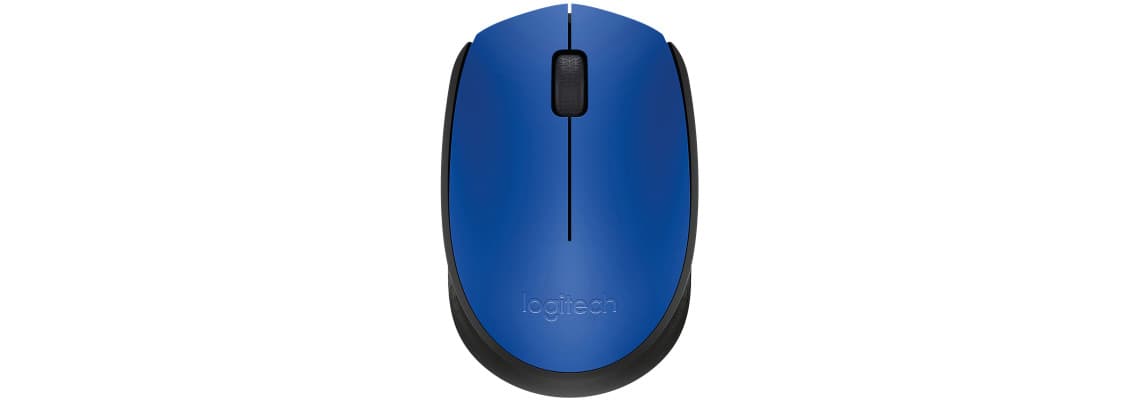 Logitech M171 Wireless Mouse (Blue) 5