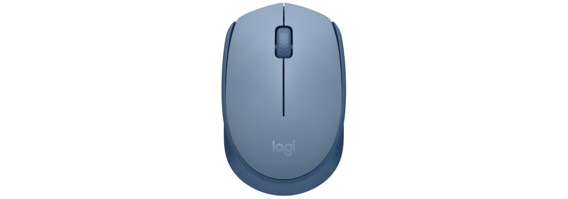 Logitech M171 Wireless Mouse (Blue Gray) 4