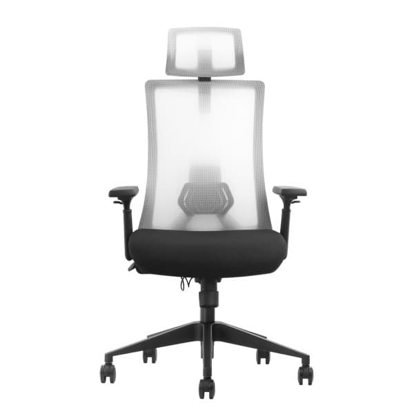 SKILLCHAIRS Ergo Riviera Black 2