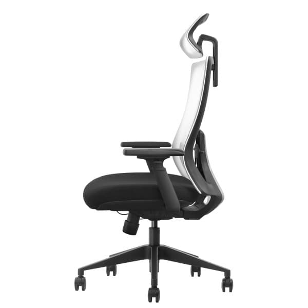 SKILLCHAIRS Ergo Riviera Black 4
