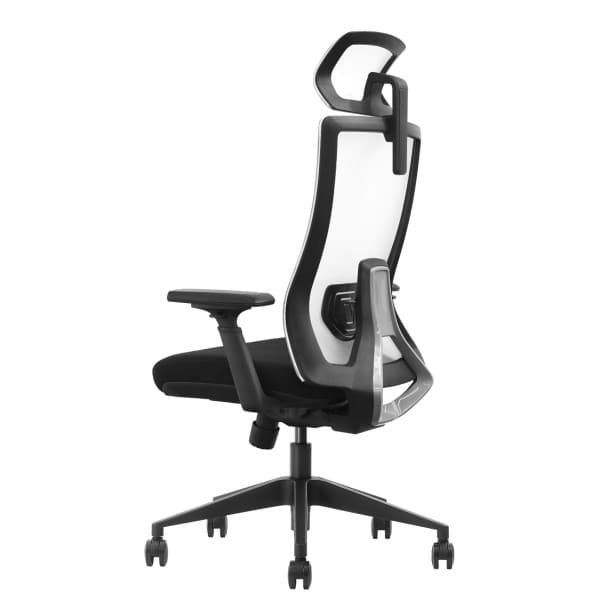 SKILLCHAIRS Ergo Riviera Black 5