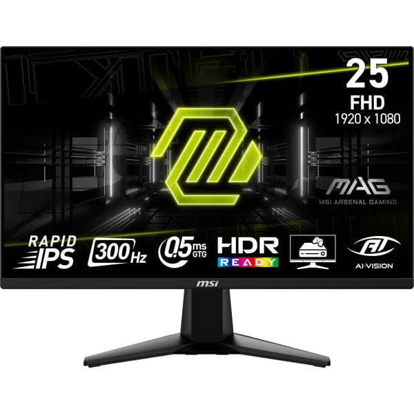 MSI MAG 255XF 24.5" IPS 300Hz maroc prix