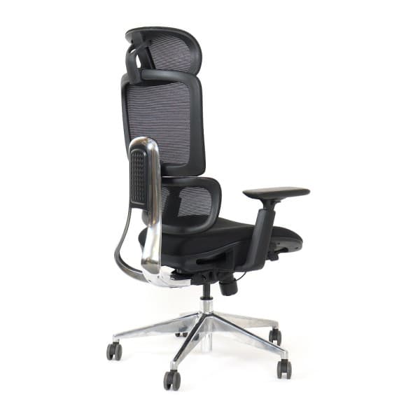 SKILLCHAIRS Ergo Perla 4
