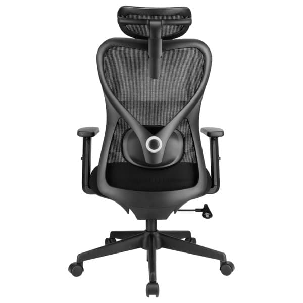 SKILLCHAIRS Ergo Alaska 5