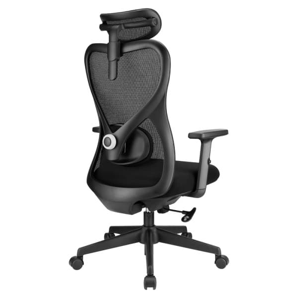 SKILLCHAIRS Ergo Alaska 4