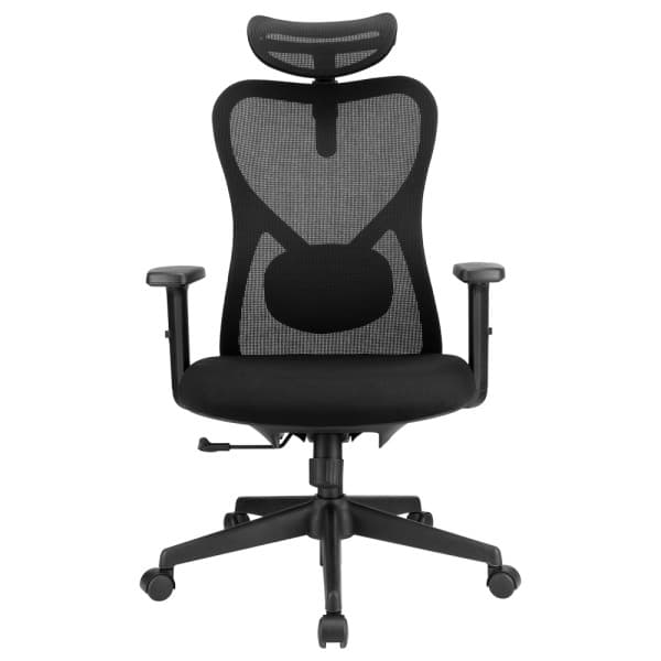 SKILLCHAIRS Ergo Alaska 2