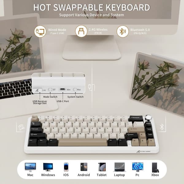 ATTACK SHARK X66 Blueberry Switch (Cheese White) 3