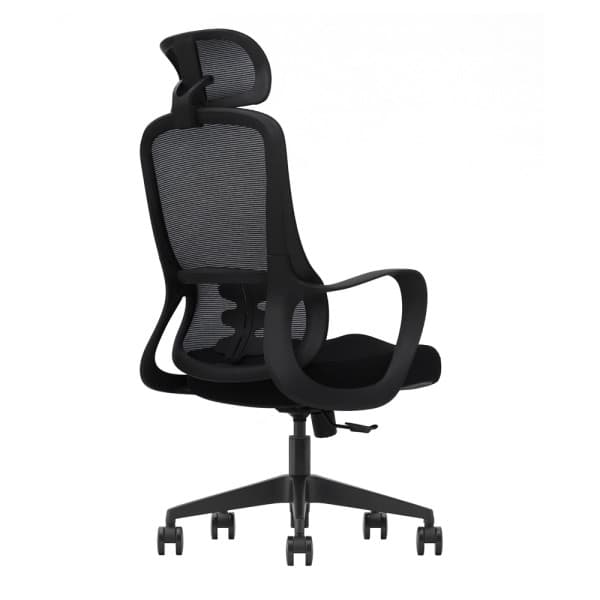 SKILLCHAIRS Ergo Roma 4