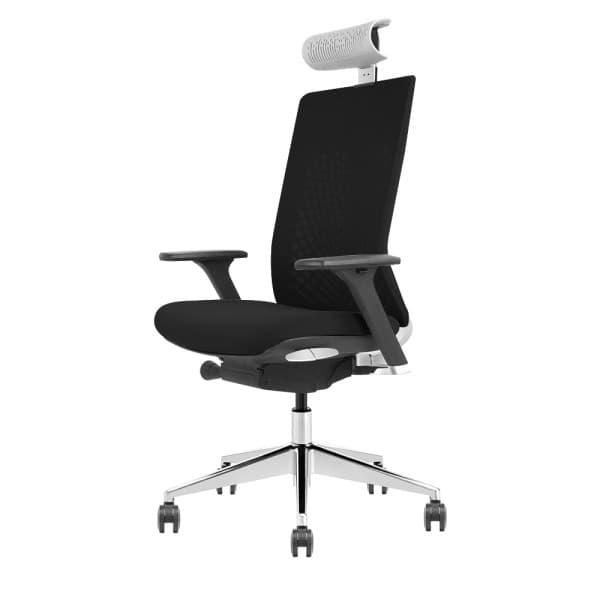 SKILLCHAIRS Ergo Torino 2