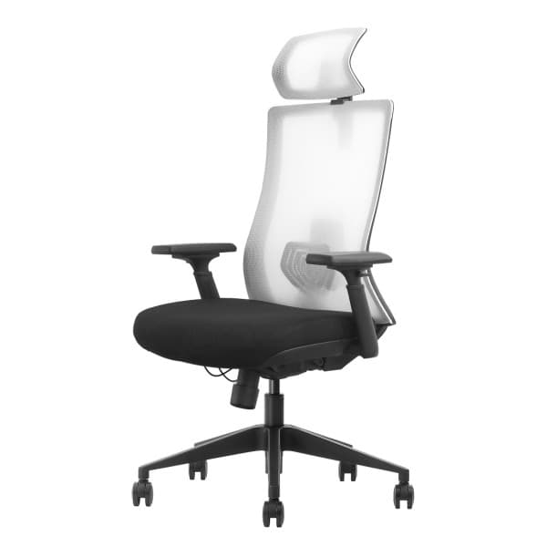 SKILLCHAIRS Ergo Riviera Black maroc prix