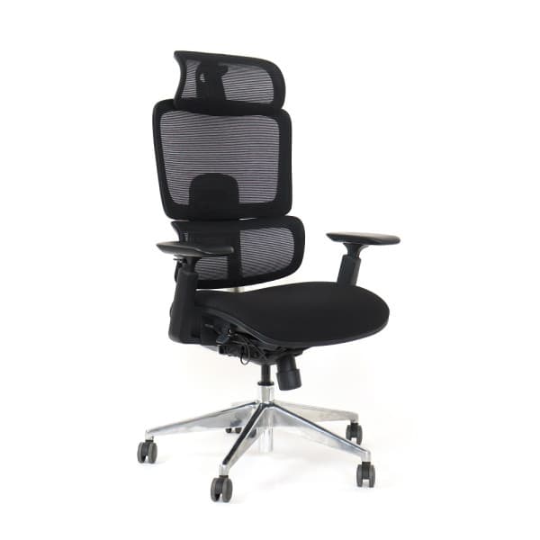 SKILLCHAIRS Ergo Perla maroc prix