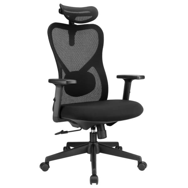 SKILLCHAIRS Ergo Alaska maroc prix